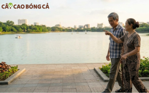 Chuẩn bị tâm lý nghỉ hưu là bước đệm tâm lý để người trung tuổi bắt nhịp sang cuộc sống người cao tuổi nhanh chóng hơn.