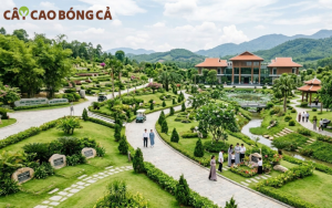 Với nhiều ông bà, việc con cháu đưa đi tham quan một công viên nghĩa trang có thể mang lại cảm giác an tâm hơn 