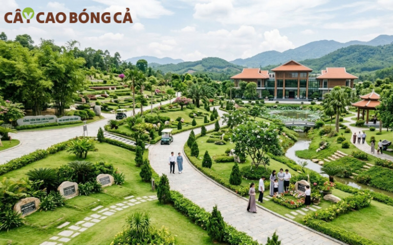 Vì sao các công viên nghĩa trang gần Hà Nội hút khách?