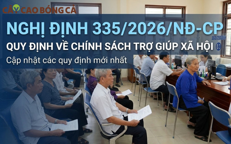 Mức trợ cấp cho người cao tuổi mới nhất 2026